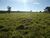 Fazenda, 670 m² - Foto 3