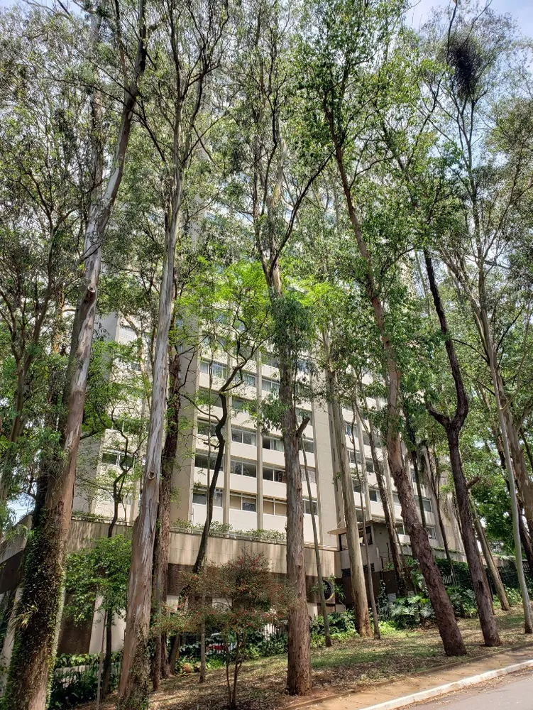 Apartamento, 3 quartos, 225 m² - Foto 7