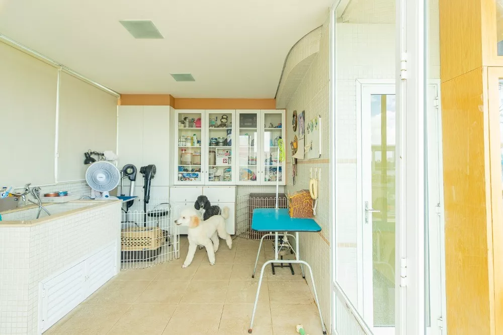 Cobertura, 3 quartos, 847 m² - Foto 5