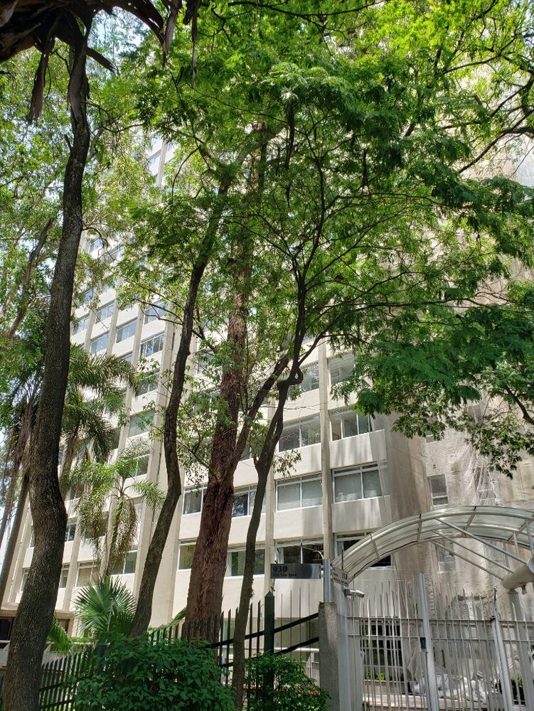 Apartamento, 3 quartos, 225 m² - Foto 12