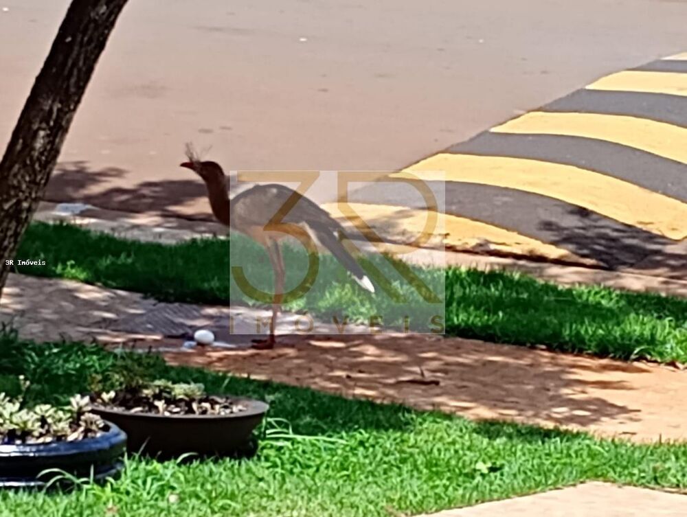Casa de Condomínio à venda com 3 quartos, 250m² - Foto 14
