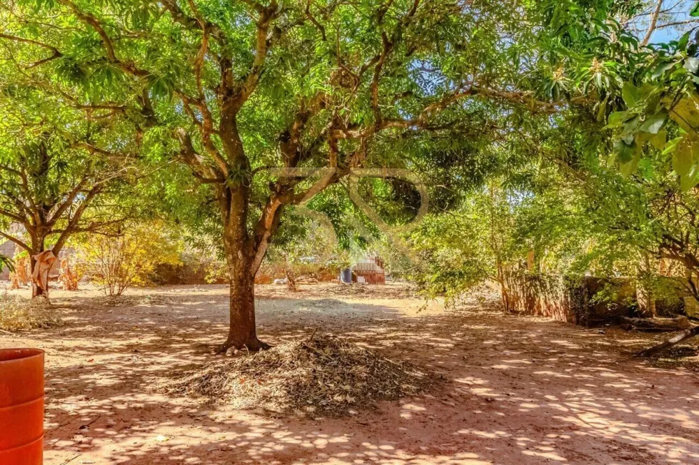 Chácara, 3 quartos, 60 hectares - Foto 15