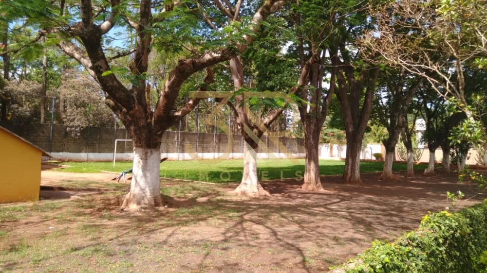 Chácara, 3 quartos, 60 hectares - Foto 3