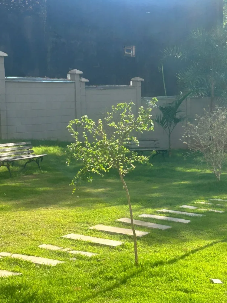 Apartamento, 2 quartos, 53 m² - Foto 3