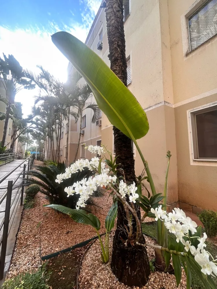 Apartamento, 2 quartos, 38 m² - Foto 4