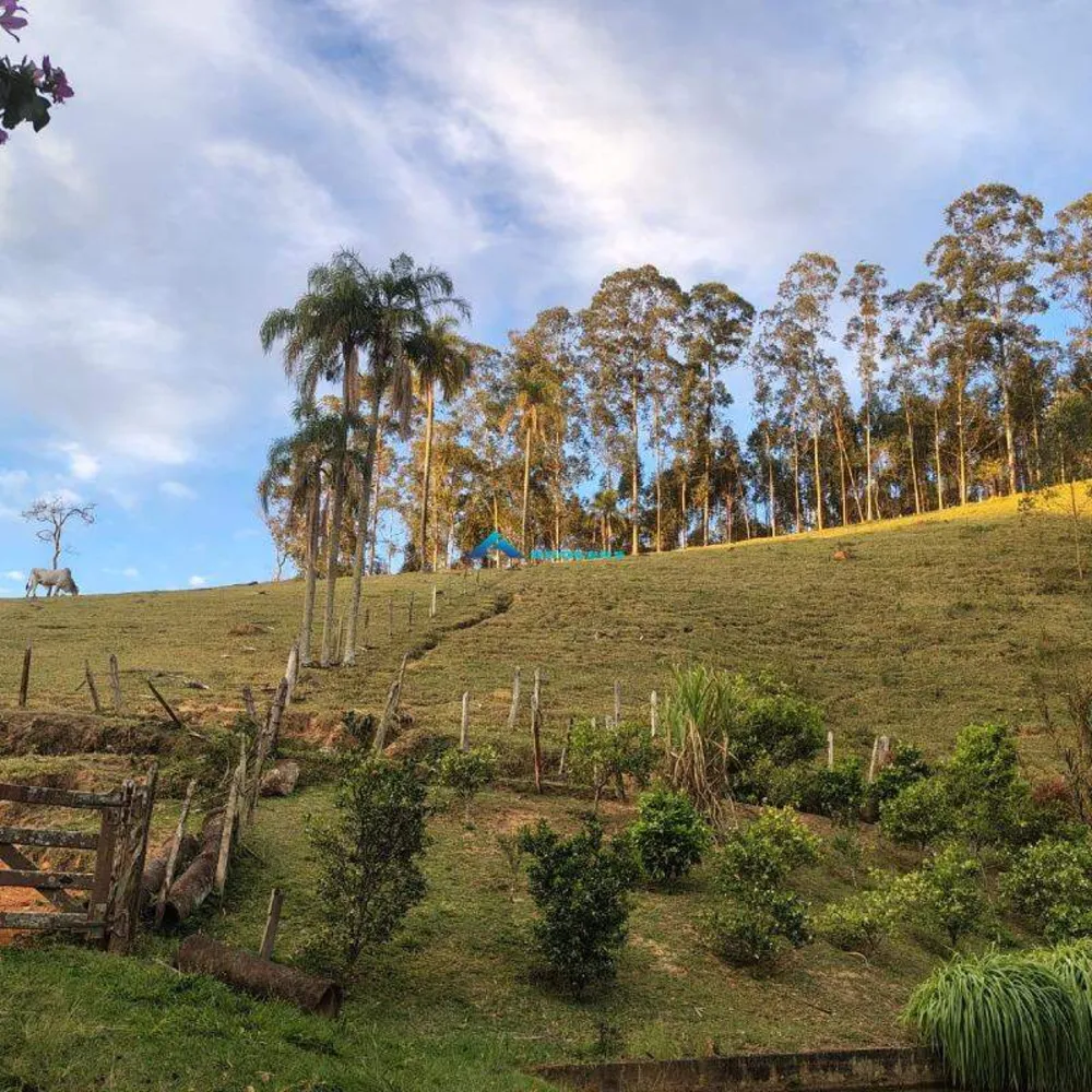 Sítio, 15 hectares - Foto 11