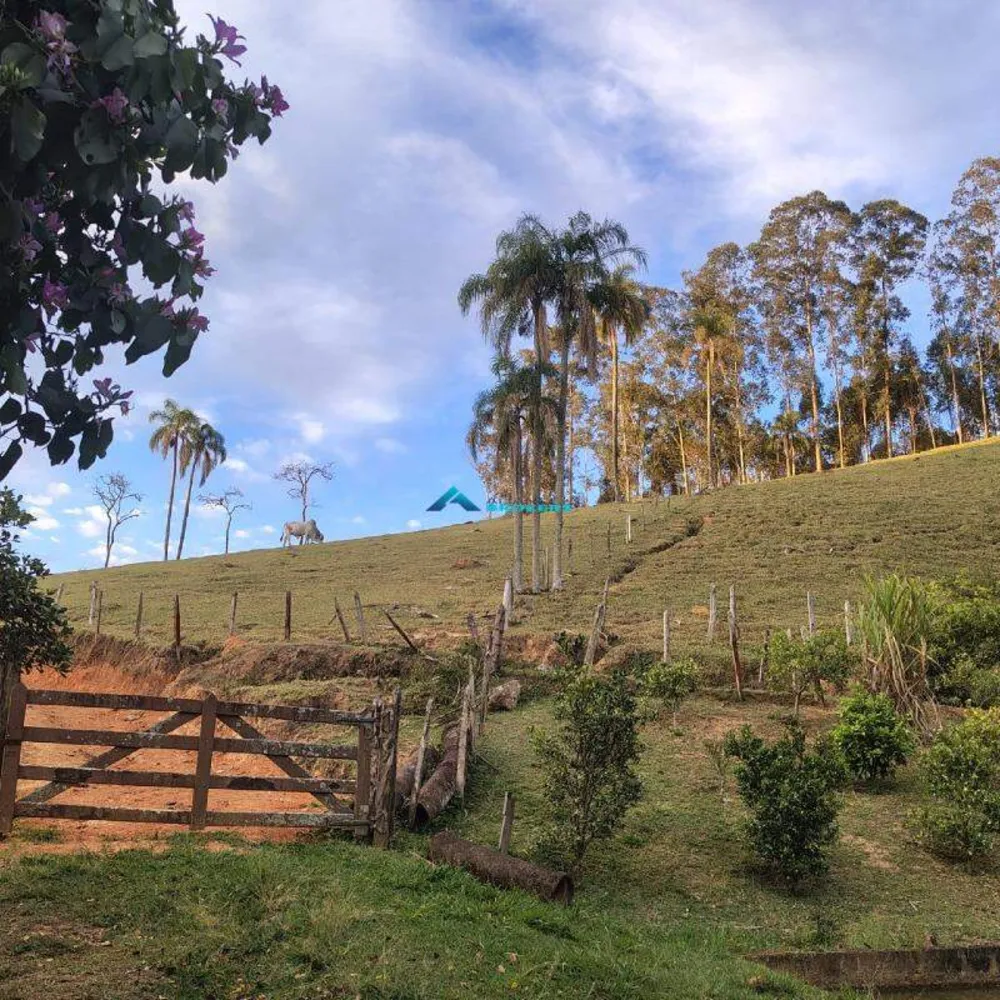 Sítio, 15 hectares - Foto 12