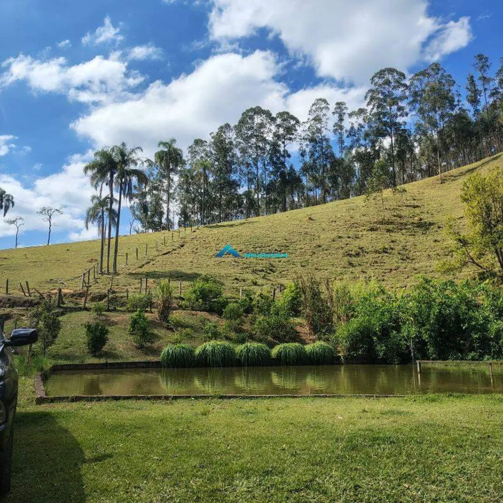 Sítio, 15 hectares - Foto 10