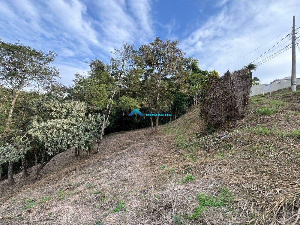 Terreno, 1043 m² - Foto 6
