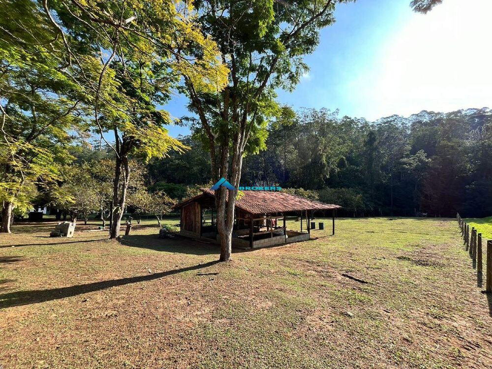 Chácara, 6 quartos, 10000 m² - Foto 29