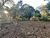 Terreno, 2400 m² - Foto 5