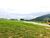 Terreno, 574 m² - Foto 3