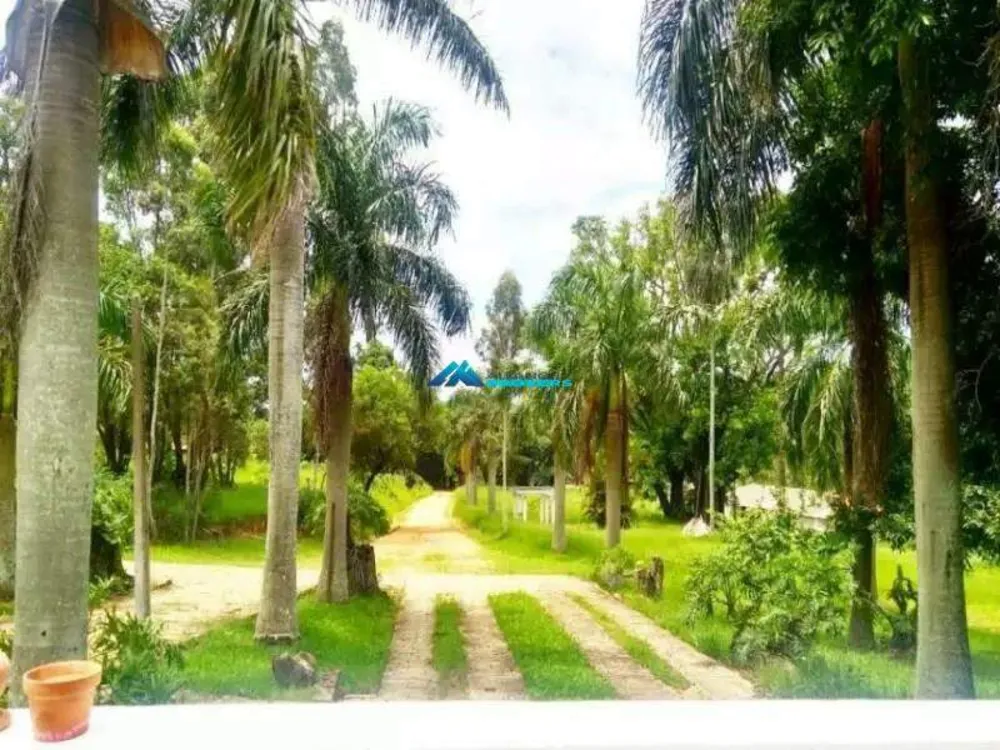 Casa, 8 quartos, 700 m² - Foto 4