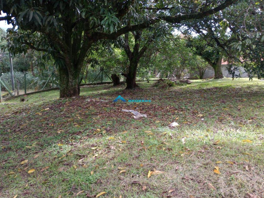 Chácara, 2 quartos, 1580 m² - Foto 6
