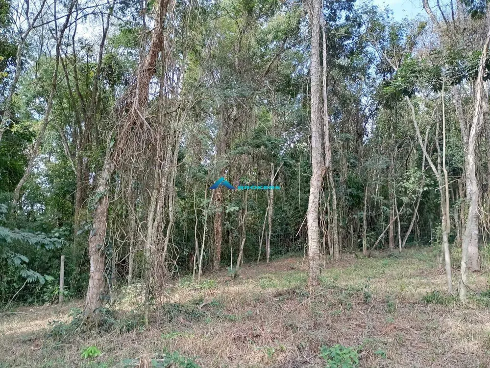 Terreno, 10000 m² - Foto 11
