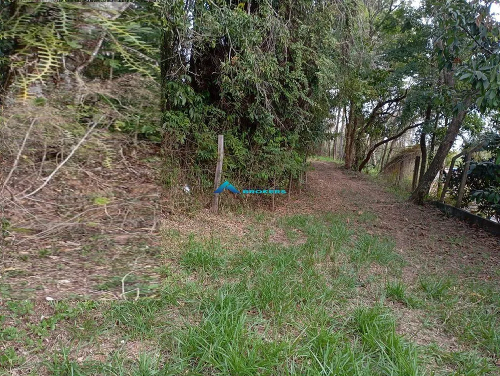 Terreno, 10000 m² - Foto 8