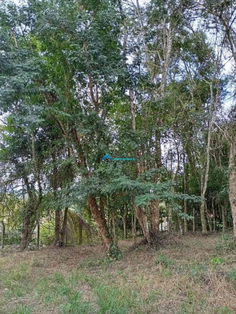 Terreno, 10000 m² - Foto 10