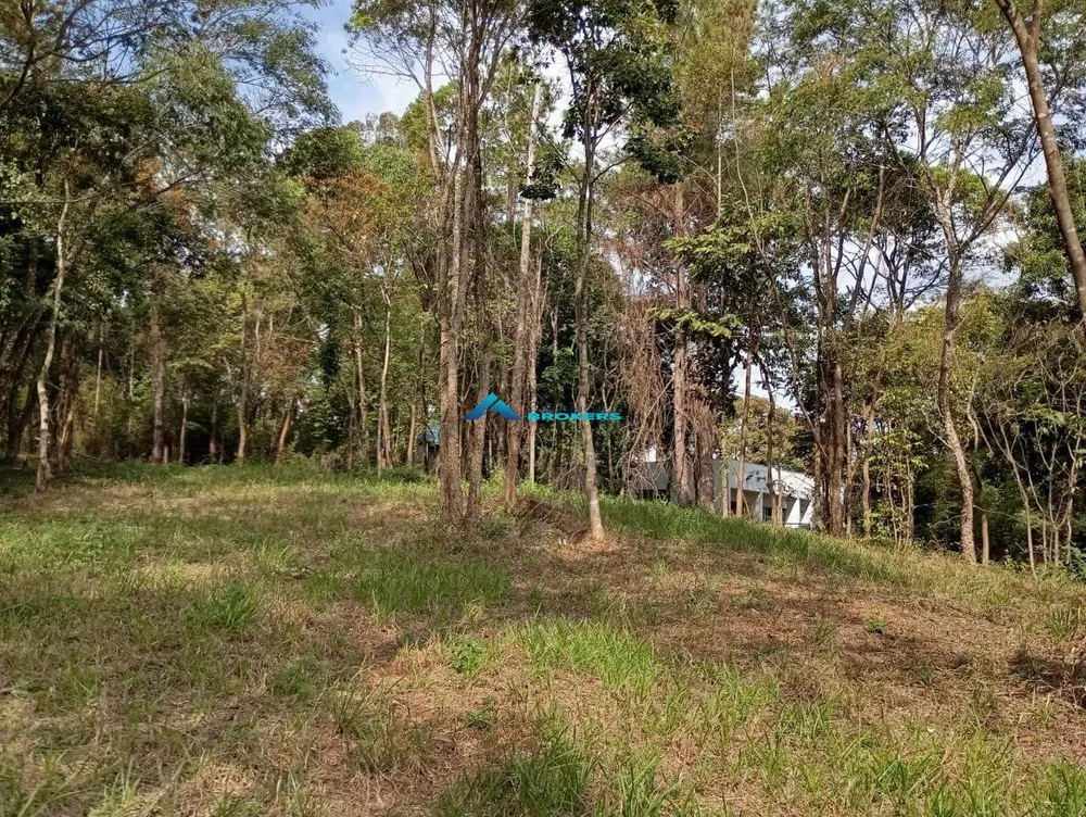 Terreno, 10000 m² - Foto 6