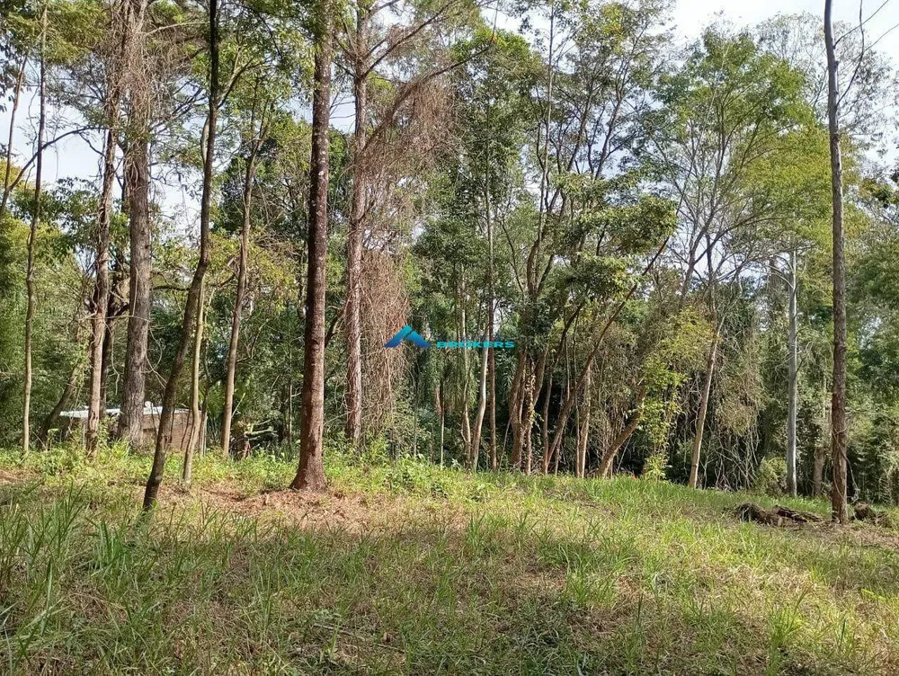Terreno, 10000 m² - Foto 12