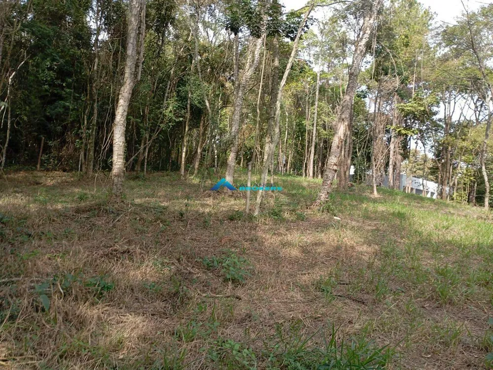 Terreno, 10000 m² - Foto 7
