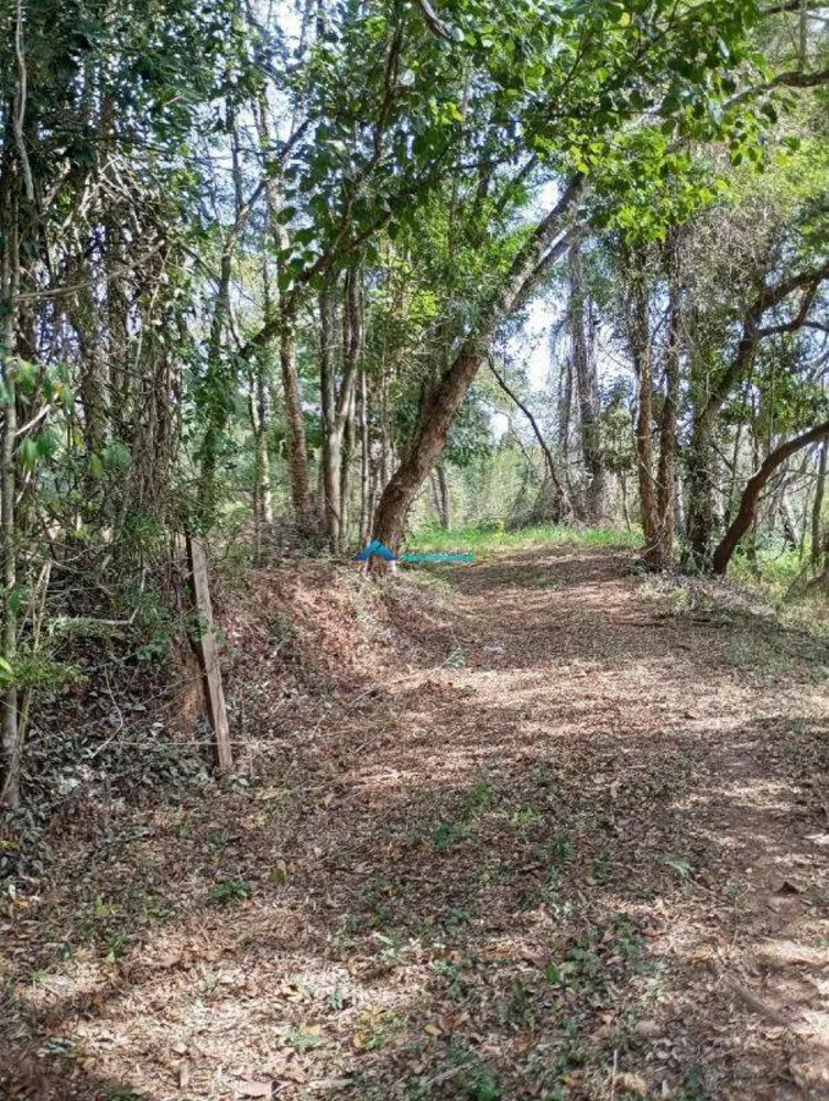 Terreno à venda, 10000m² - Foto 3