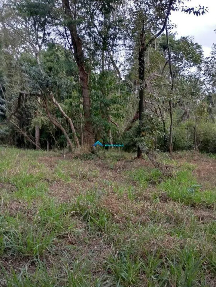 Terreno, 10000 m² - Foto 9