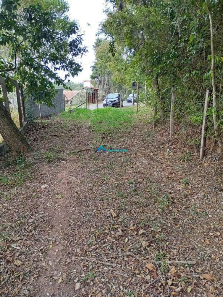 Terreno, 10000 m² - Foto 5