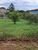 Terreno, 800 m² - Foto 2