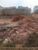 Terreno, 250 m² - Foto 6