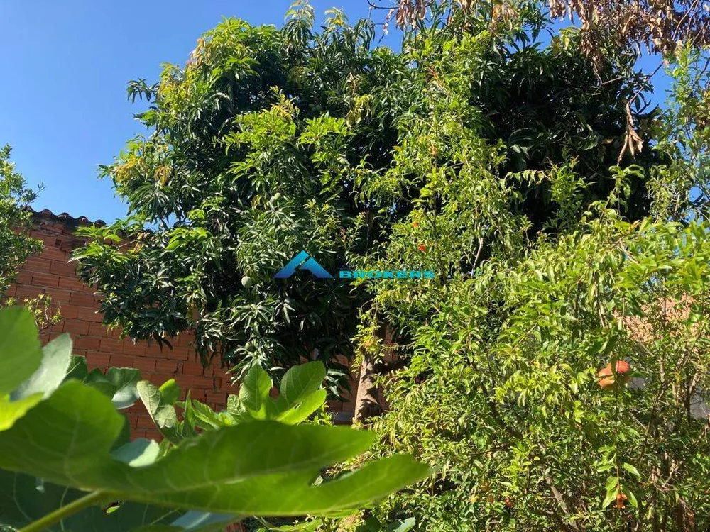 Casa, 5 quartos, 280 m² - Foto 5
