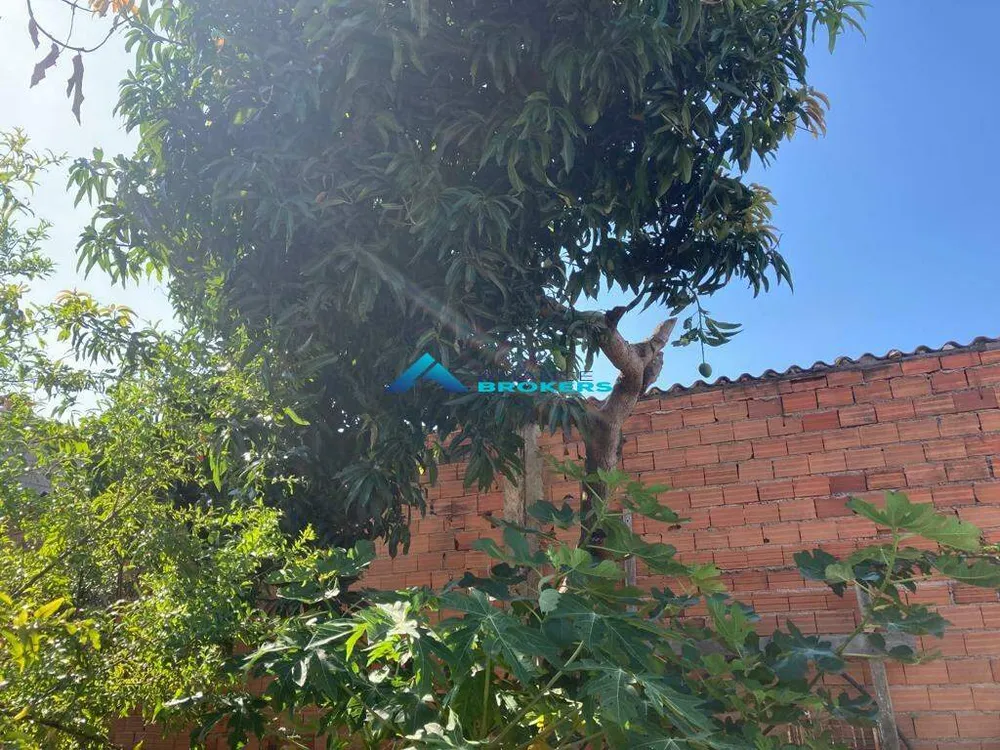 Casa, 5 quartos, 280 m² - Foto 6