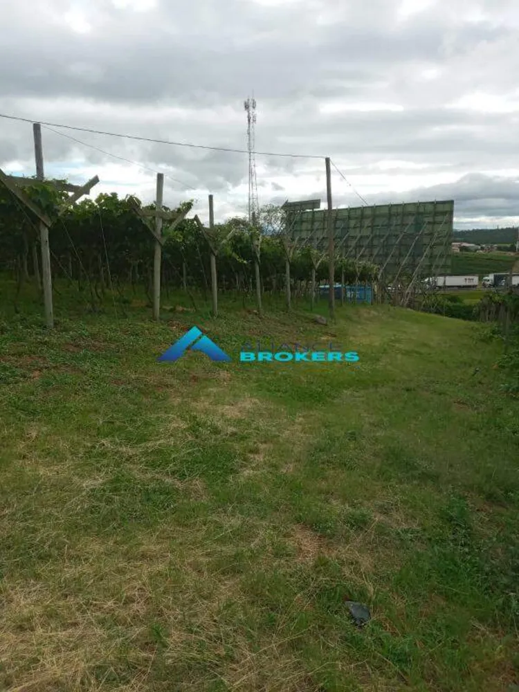 Terreno, 1 hectares - Foto 4