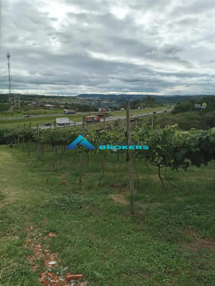 Terreno, 1 hectares - Foto 2