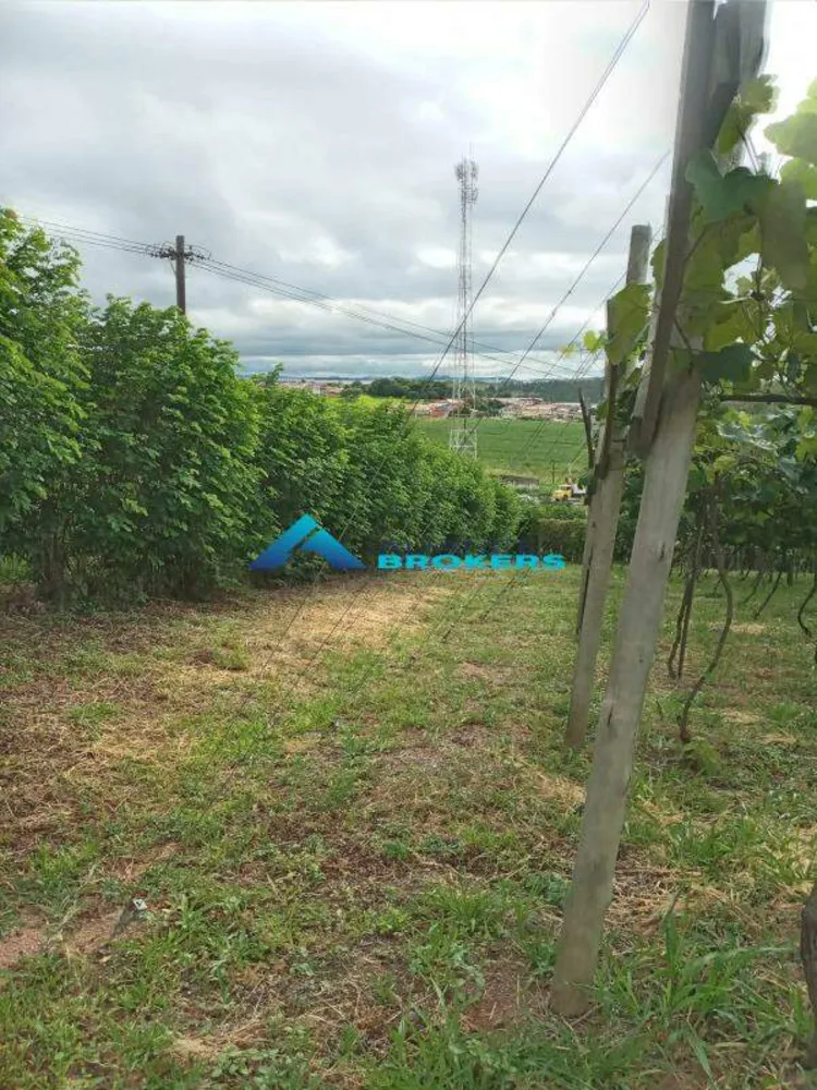 Terreno, 1 hectares - Foto 7