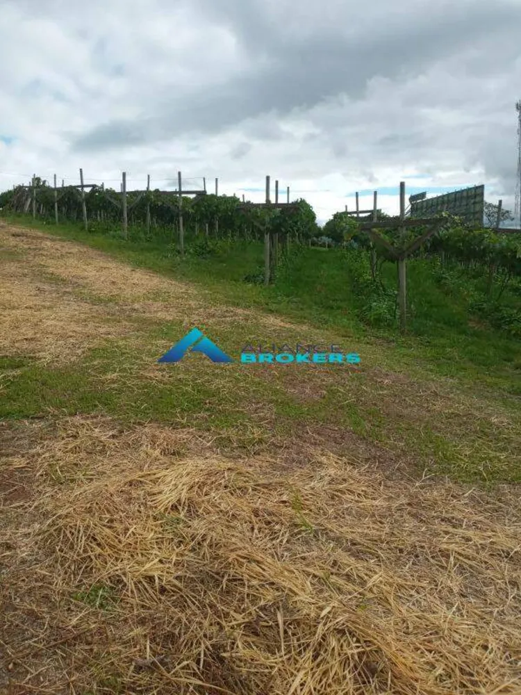 Terreno, 1 hectares - Foto 6
