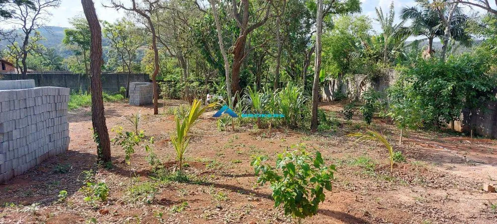 Terreno, 1460 m² - Foto 8