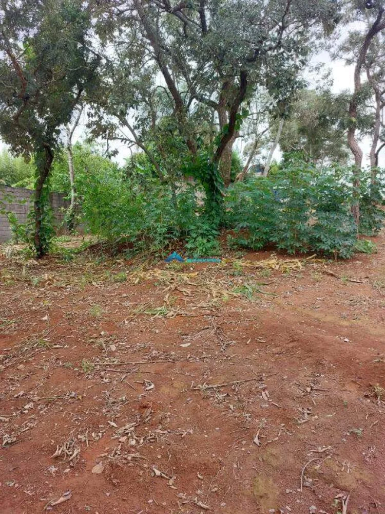 Terreno, 1460 m² - Foto 6