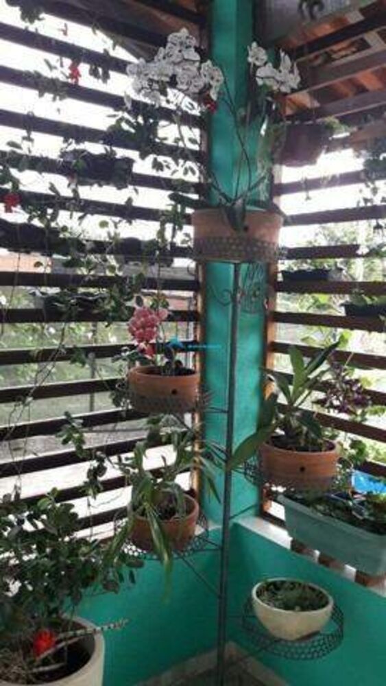 Chácara, 3 quartos, 1228 m² - Foto 11