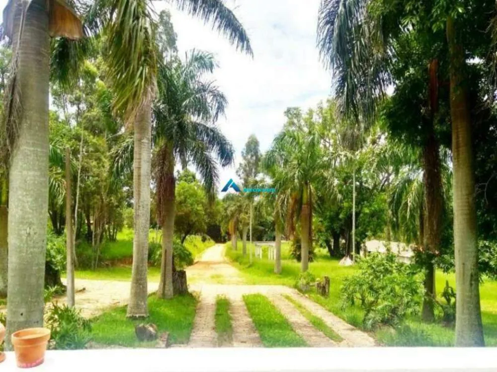 Chácara, 8 quartos, 5 hectares - Foto 15