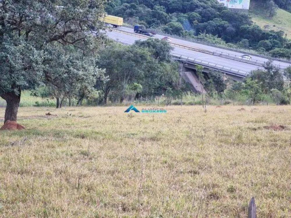 Terreno, 2 hectares - Foto 3