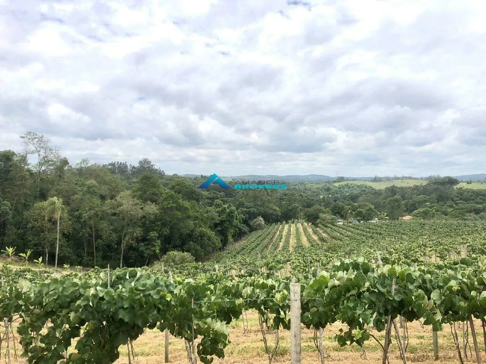 Terreno, 12 hectares - Foto 12