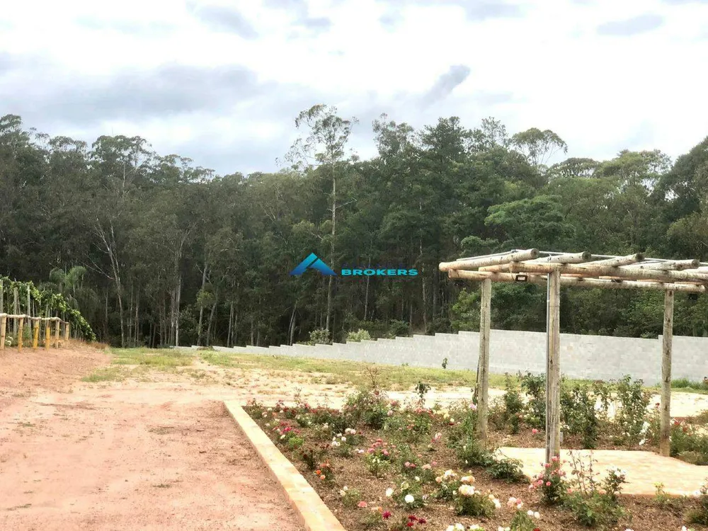 Terreno, 12 hectares - Foto 11