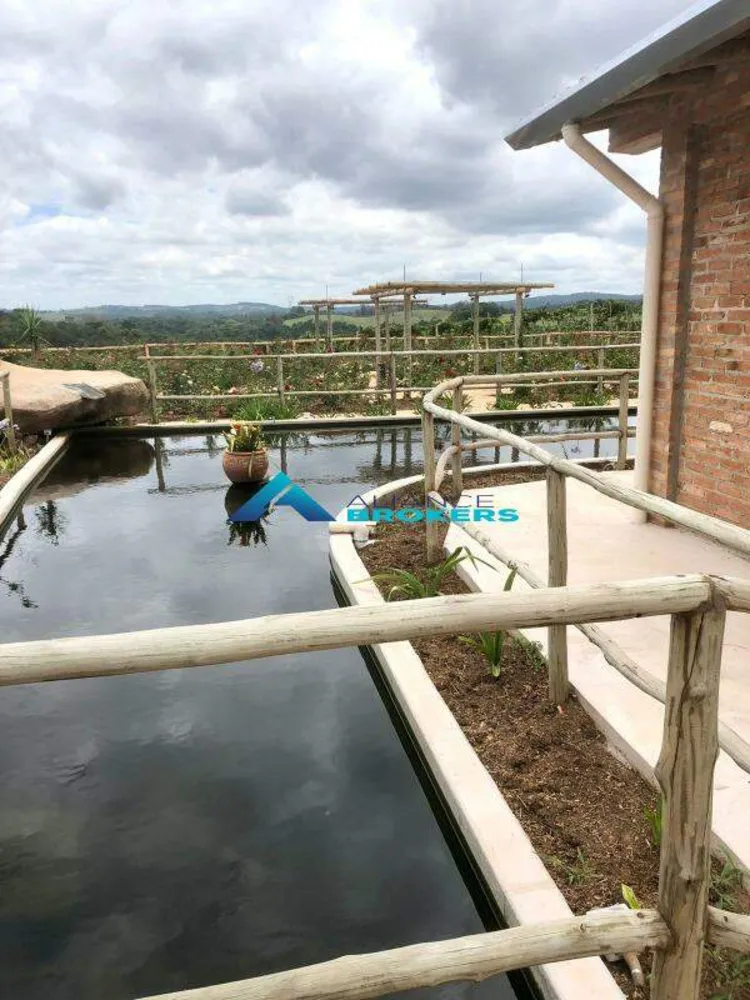 Terreno, 12 hectares - Foto 8
