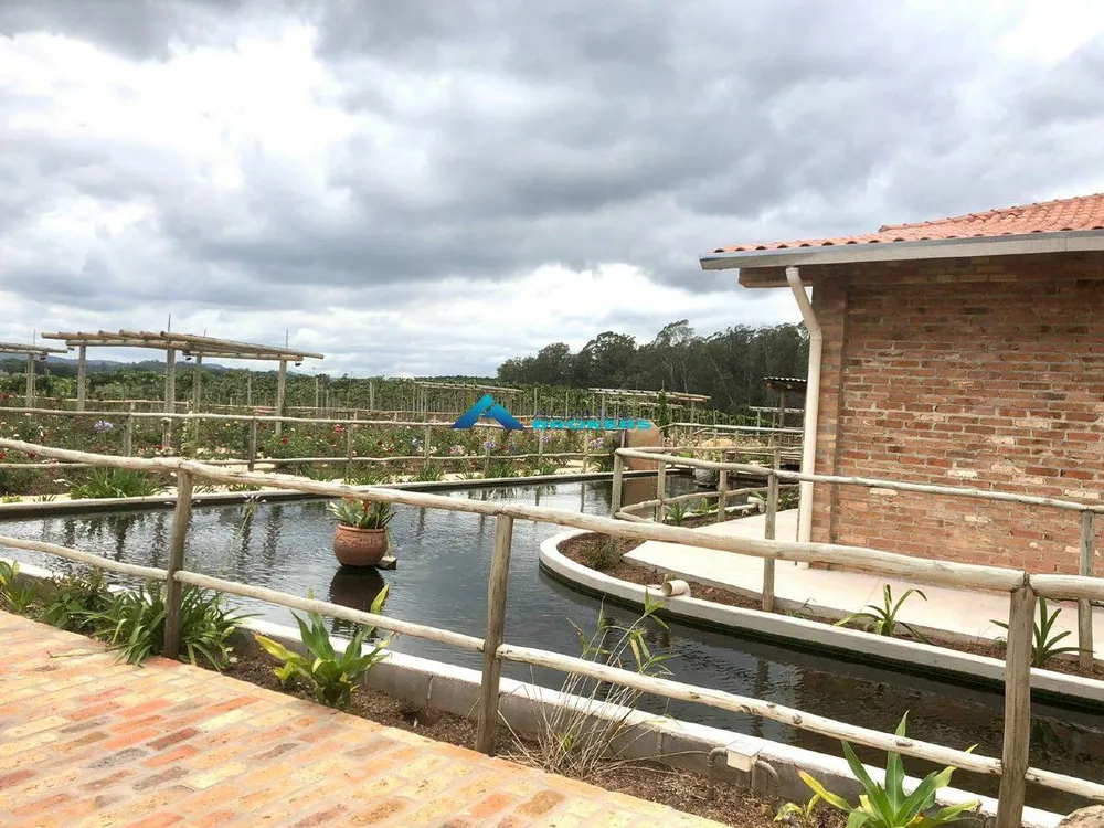Terreno, 12 hectares - Foto 1