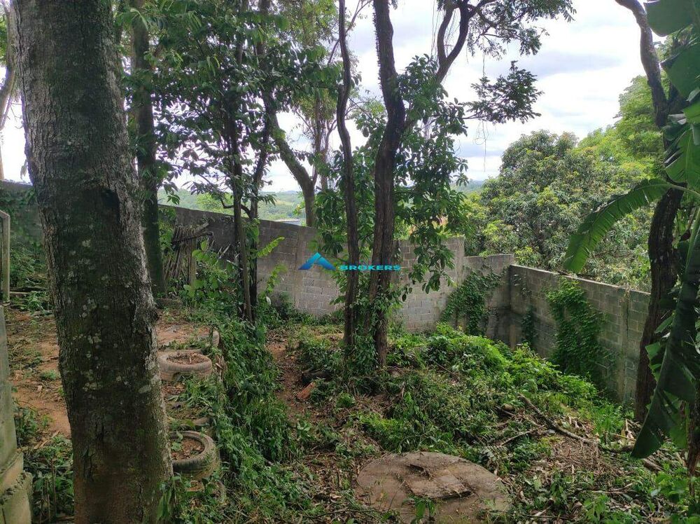 Chácara, 4 quartos, 1066 m² - Foto 14