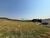 Terreno, 250 m² - Foto 5