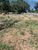 Terreno, 1000 m² - Foto 1