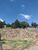 Terreno, 1000 m² - Foto 2