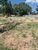 Terreno, 1000 m² - Foto 3
