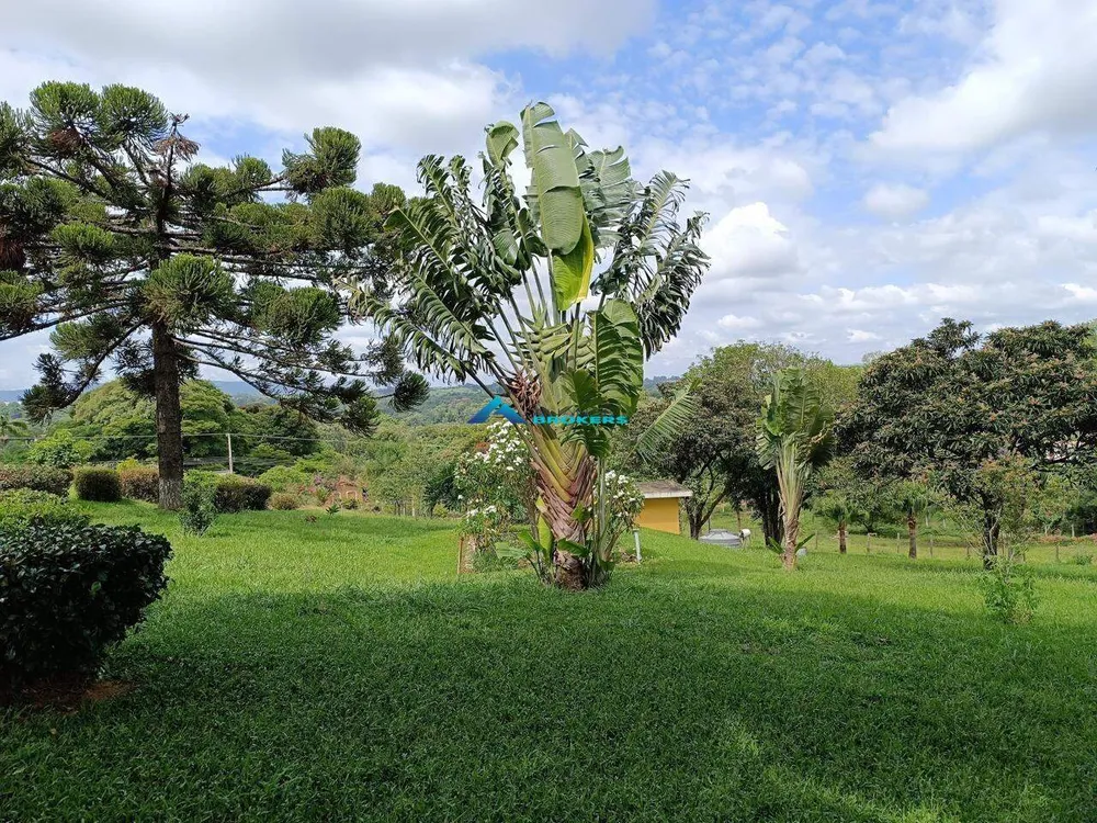 Chácara, 1 hectares - Foto 4